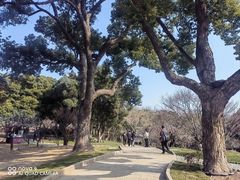 -无锡梅园公园