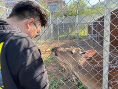 -长白山万达喜来登度假酒店