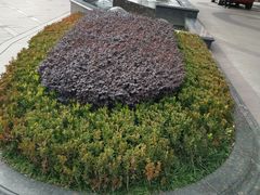 -温州王朝大酒店-自助餐厅