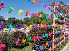 -北京西山国家森林公园