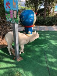 -萌宠亲子动物乐园(槐房万达店)