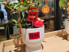 -虾饺妹·酒家(金碧店)