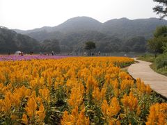 -广州市石门国家森林公园