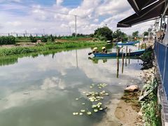 -小陆莲花蟹园农家乐(莲花岛店)