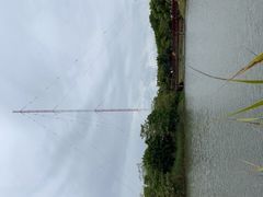 -福田红树林生态公园