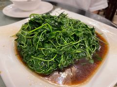 金花菜酒香-新聚丰菜馆(太监弄店)