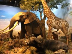 -陕西自然博物馆