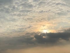-莲花山公园