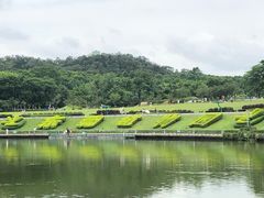 -东莞植物园