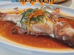 -欢乐海岸美食联盟