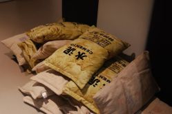 -meland club亲子乐园(重庆万象城店)