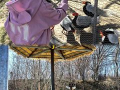 -水上乐园·欢乐世界