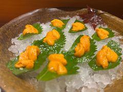 -月龍吟(朝龙汇店)
