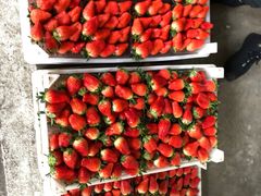 -东方鼎信农副产品交易中心