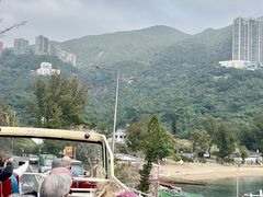 -Big Bus Tours 敞篷观光巴士