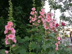 -北运河水利风景区