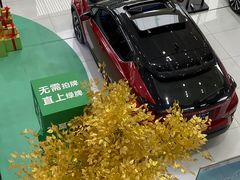 -上海和展广汽丰田4S店(老闵行店)