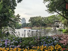 -荔湾湖公园