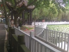 -巴山一绝烤全羊(三圣乡刘家花园店)