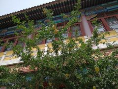 -挂甲禅寺