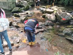 -重庆彩云湖湿地公园