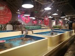 -日进一片海.生腌海鲜火锅.宵夜烧烤(三里屯总店)