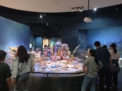 -天津自然博物馆