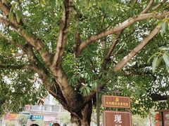 -南关石牌坊古镇