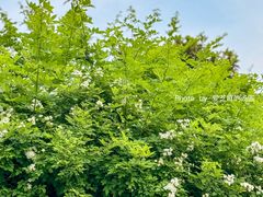 -大蜀山国家森林公园