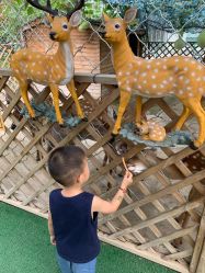 -萌宠亲子动物乐园(槐房万达店)