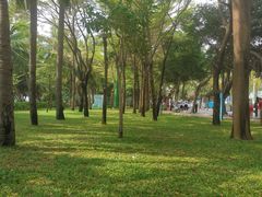 -同禧荟·港味海鲜火锅·粤菜(三亚湾店)