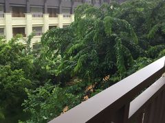 -西双版纳融创皇冠假日度假酒店