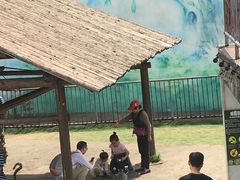 -无锡动物园·太湖欢乐园