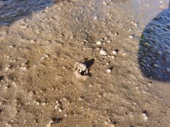 -北海金海湾红树林生态旅游区