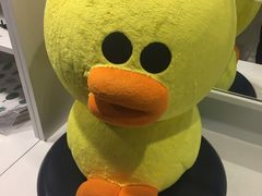 -line friends(明洞旗舰店)