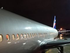 -谢列梅捷沃国际机场