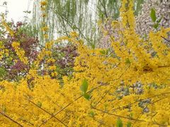 -元大都城垣遗址公园