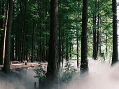 -东湖落雁景区