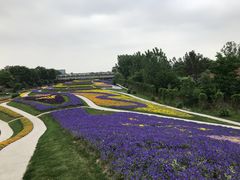 -南通洲际绿博园