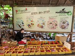 -大象粑粑造纸公园