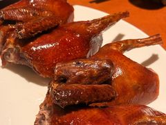 红烧乳鸽-杭州JW万豪酒店-万豪中餐厅