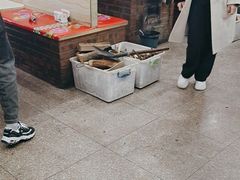 -崔记老东北传奇铁锅炖(横店总店)
