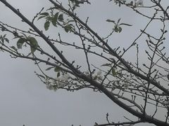 -梁鸿国家湿地公园
