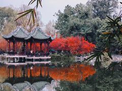 -棠湖公园