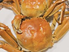 -金马门国际美食百汇(珞喻路店)