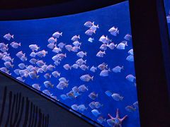 -沈阳海洋探索中心