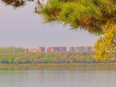 -长春市南湖公园