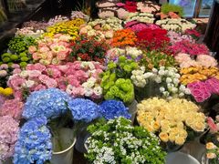 -双季花艺园艺市场(浦东店)