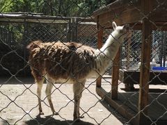 -长白岛森林公园