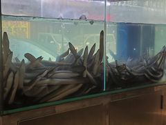 滋补炭烤鳗鱼-本炙炭烤·蒲烧活鳗料理店(金沙洲店)